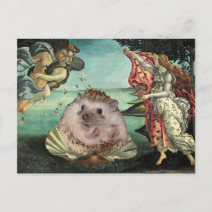 Botticellis Geburt eines Igels Postkarte