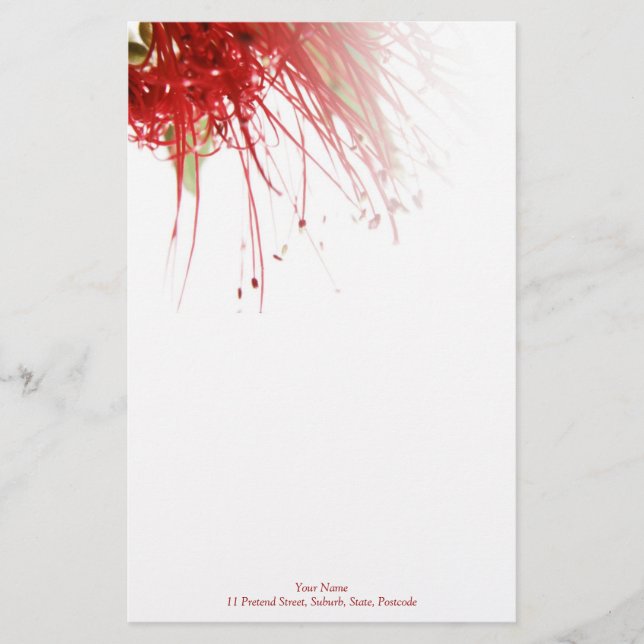 Bottlebrush Blume Stationery Briefpapier (Vorderseite)