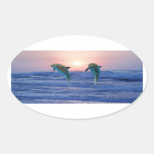 Bottlenose-Delphin am Sonnenaufgang Ovaler Aufkleber