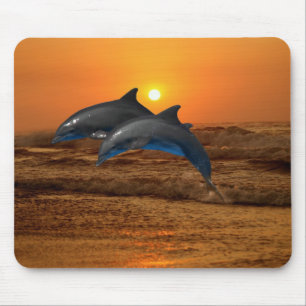 Bottlenose-Delphin am Sonnenuntergang Mousepad