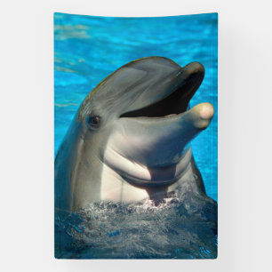 Bottlenose Delphin Head Banner