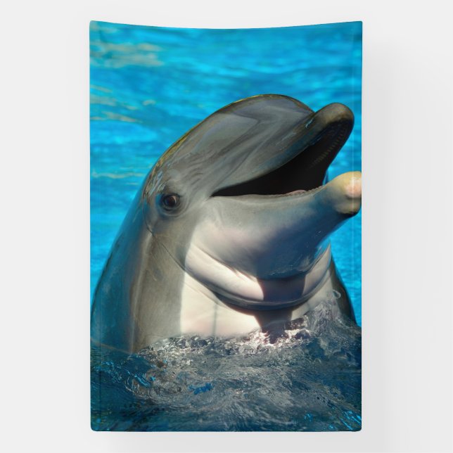 Bottlenose Delphin Head Banner (Vertikal)