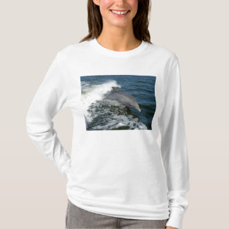 Bottlenose-Delphin T-Shirt