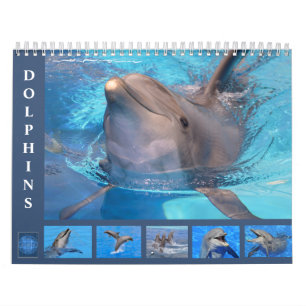 Bottlenose Delphine: 12 Monate Kalender