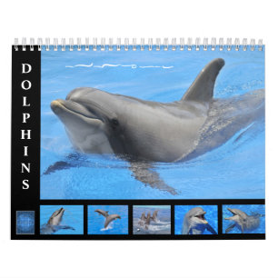 Bottlenose Delphine: 12 Monate Kalender