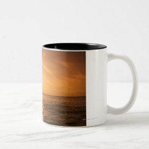 Bottlenose-Delphinspringen Zweifarbige Tasse
