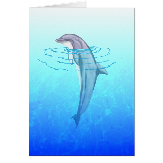 Bottlenose Dolphin (Vorne)