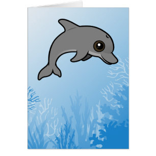 Bottlenose Dolphin