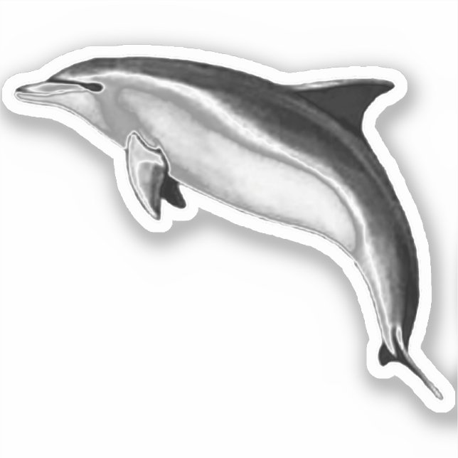 BOTTLENOSE DOLPHIN AUFKLEBER (Vorderseite)