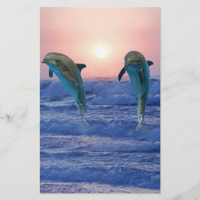 Bottlenose Dolphin bei Sonnenaufgang (Vorderseite)