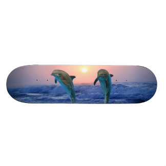 Bottlenose Dolphin bei Sonnenaufgang Skateboard