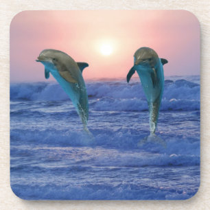 Bottlenose Dolphin bei Sonnenaufgang Untersetzer