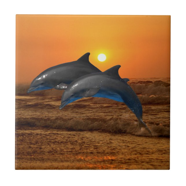 Bottlenose Dolphin bei Sonnenuntergang Fliese (Vorderseite)