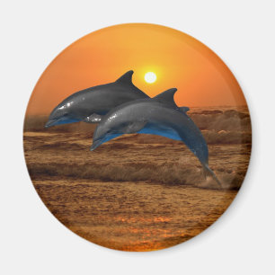 Bottlenose Dolphin bei Sonnenuntergang Magnet