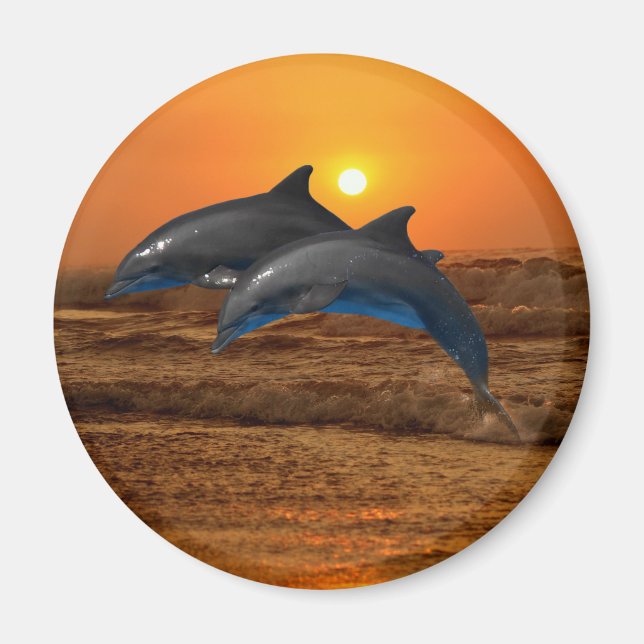 Bottlenose Dolphin bei Sonnenuntergang Magnet (Vorne)
