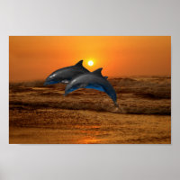 Bottlenose Dolphin bei Sonnenuntergang
