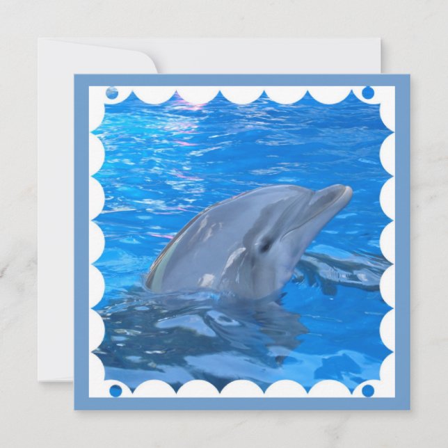 Bottlenose Dolphin Einladung (Vorderseite)