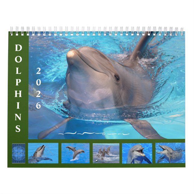 Bottlenose dolphins 12 month calendar kalender (Titelbild)