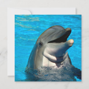 Bottlenose Feiertagskarte
