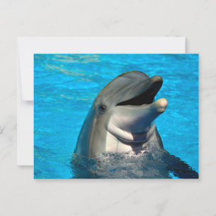 Bottlenose Postkarte