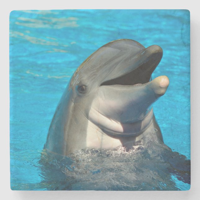 Bottlenose Steinuntersetzer (Vorderseite)
