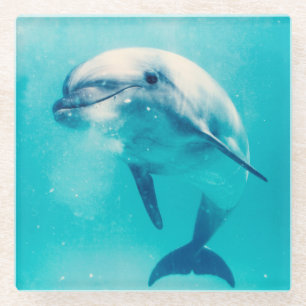 Bottlenosed Delphin Unterwasser Glasuntersetzer