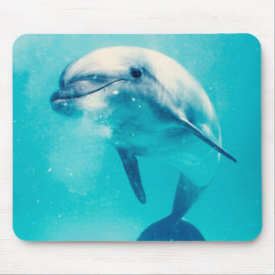 Bottlenosed Delphin Unterwasser Mousepad