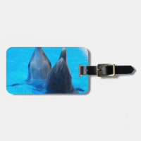 Bottlenosedelphin-Fischmarineozean unter Wasser