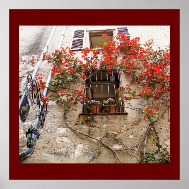 Bougainvillea at Window Poster (Vorne)
