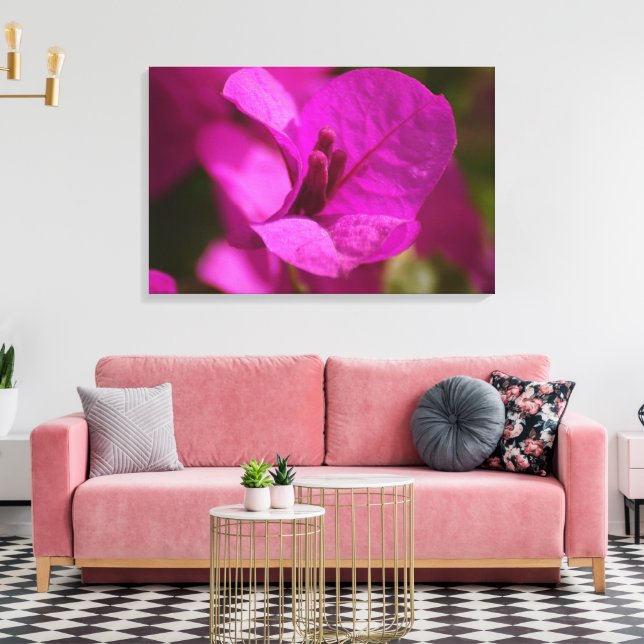 Bougainvillea Beauty Stretch Canvas Print Leinwanddruck (Insitu (Wohnzimmer))