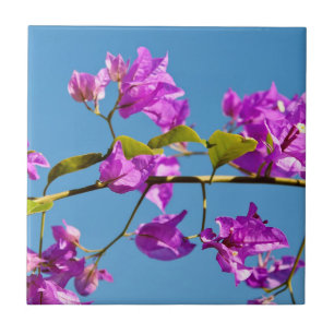 Bougainvillea-Blume Fliese