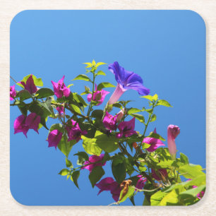 Bougainvillea Blume mit Blue Sky Rechteckiger Pappuntersetzer