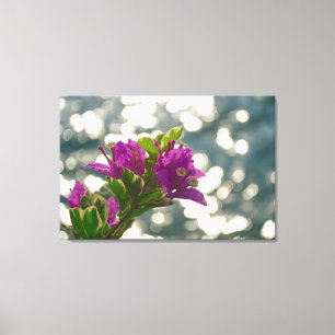 Bougainvillea Bokeh Sonnen Glitter Blumen Foto Leinwanddruck