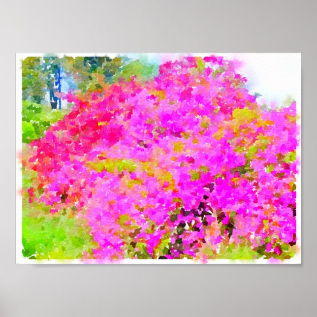 Bougainvillea-Busche, Aquarellmalerei Poster (Vorne)