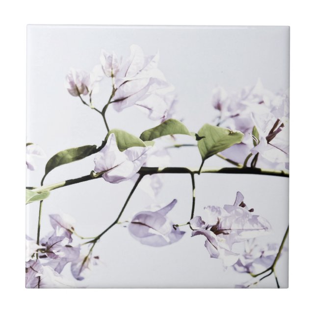 Bougainvillea Fliese (Vorderseite)