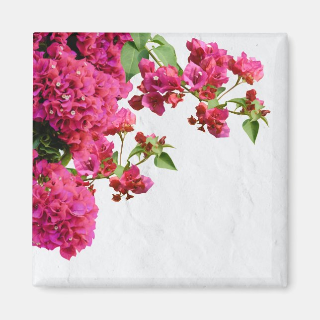 Bougainvillea Floral Griechische Insel am Mittelme Magnet (Vorne)