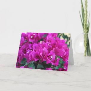 Bougainvillea - Greeting Card Karte