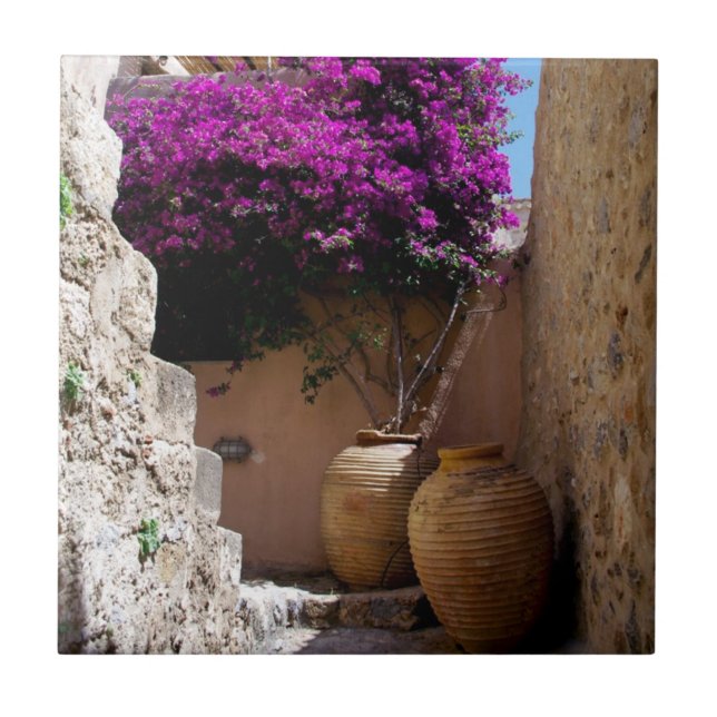 Bougainvillea in Amphorah Fliese (Vorderseite)