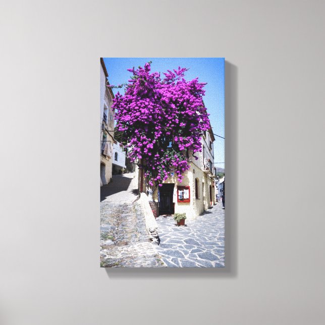 Bougainvillea Leinwanddruck (Vorderseite)