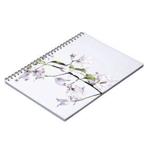 Bougainvillea Notizblock