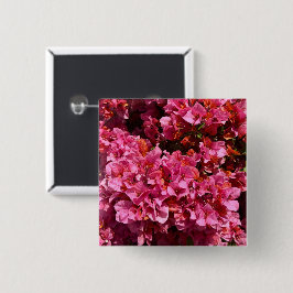 Bougainvillea Pink Tropical Vining Shrub Foto Button