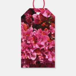 Bougainvillea Pink Tropical Vining Shrub Foto Geschenkanhänger