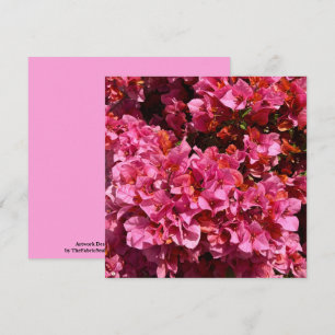 Bougainvillea Pink Tropical Vining Shrub Foto Karte