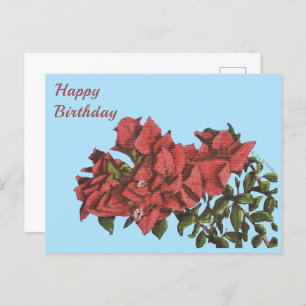 Bougainvillea Postcard Postkarte