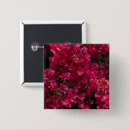 Bougainvillea Red Tropical Vining Shrub Foto Button