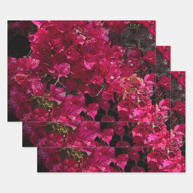 Bougainvillea Red Tropical Vining Shrub Foto Geschenkpapier Set (Set)