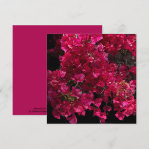 Bougainvillea Red Tropical Vining Shrub Foto Karte