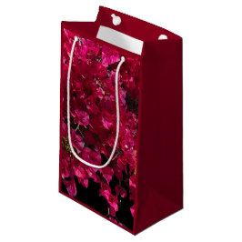 Bougainvillea Red Tropical Vining Shrub Foto Kleine Geschenktüte