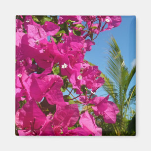 Bougainvillea und Palme tropische Naturszene Magnet