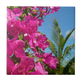 Bougainvillea und Palmen Tropische Natur Fliese